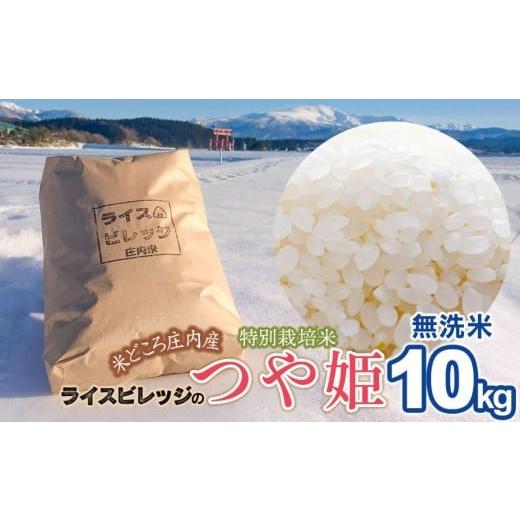 ふるさと納税 無洗米 山形県 鶴岡市 令和7年産 米どころ庄内産 ライスビレッジの特別栽培米 つや姫 無洗米 10kg K-790