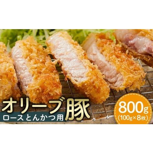 ふるさと納税 豚肉 ロース 香川県 坂出市 豚肉 オリーブ豚 ロースとんかつ用 800g(100g×8枚) 化粧箱入り 配送不可:離島