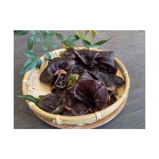 ふるさと納税 野菜類 きのこ 鳥取県 鳥取市 鳥取県産 生きくらげ 1kg