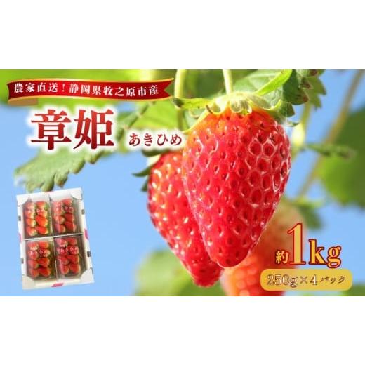 ふるさと納税 いちご 静岡県 牧之原市 数量限定 章姫 250g×4パック 約1kg以上 苺 あきひめ 章姫 イチゴ 果物 いちご イチゴ 苺 フルーツ くだもの スイーツ …