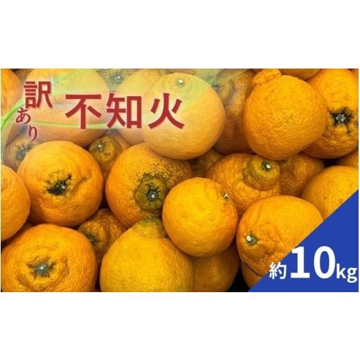 ふるさと納税 みかん・柑橘類 デコポン 和歌山県 かつらぎ町 訳あり ちょこっと訳あり不知火 約10kg ご家庭用 2026年2月中旬〜4月中旬ごろ順次発送予定(お届…