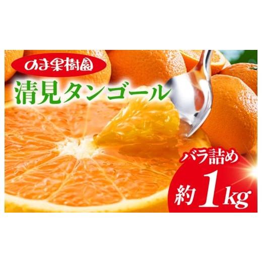 ふるさと納税 果物類 みかん 愛媛県 今治市 清見タンゴール (1kg) K003700K1 人気商品 国産 高級フルーツ 人気商品 みかん 柑橘 フルーツ 果物 乃万青果 の…
