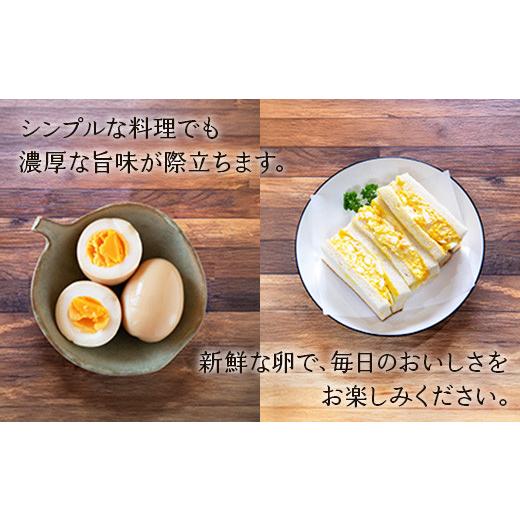 ふるさと納税 卵（鶏、烏骨鶏等） 宮崎県 えびの市  2026年6月下旬発送 卵 わけあり 霧島山麓育ち こだわり卵 康卵 Mサイズ 50個（45個 + 割れ保証 5個）× 2…_3