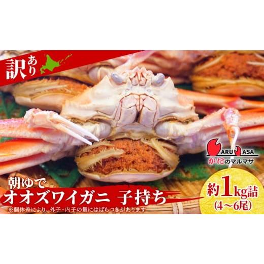 ふるさと納税 カニ 北海道 千歳市 北海道産 朝ゆで 訳ありオオズワイガニ メス(小) 1.0kg詰 子持ち 内子 外子 道産品 オオズワイ ズワイガニ ずわい蟹 カニ 蟹…