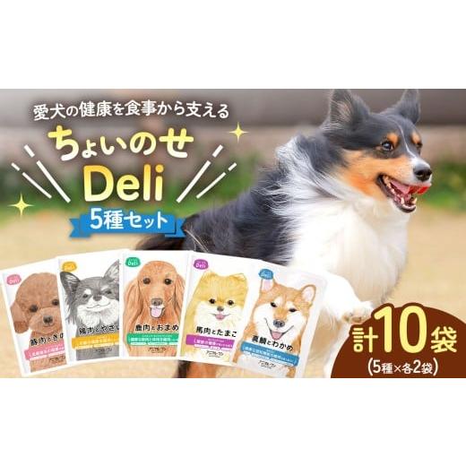 ふるさと納税 雑貨・日用品 熊本県 玉名市 ちょいのせDeli 5種 × 各2袋 セット | ペット 愛犬 犬 ウェットフード 国産 ドッグフード 熊本県 玉名市 ちょいの…
