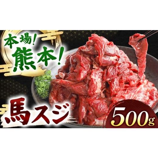 ふるさと納税 馬肉 熊本県 玉名市 馬スジ 500g | 肉 にく お肉 おにく 馬 馬肉 馬スジ 定期 定期便 熊本県 玉名市 500g | 寄付額:11,000円