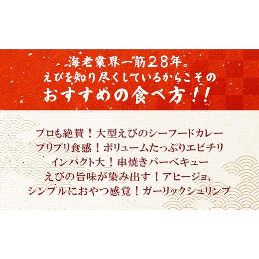 ふるさと納税 エビ・カニ等 エビ 群馬県 玉村町 えび ブラックタイガー 2.1kg 700g×3袋 大型 むきえび 無保水 バラ凍結 むき身 背ワタなし 2.1kg (700g×3袋)… |  | 06