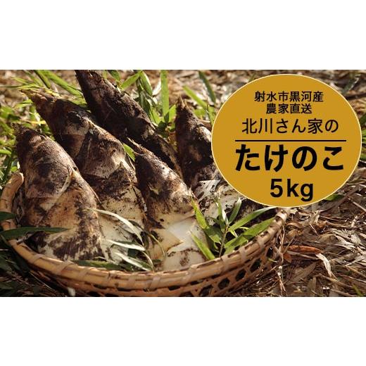 ふるさと納税 野菜類 山菜 富山県 射水市  射水市 射水のおいしい食品 射水市黒河産 農家直送 北川さん家の たけのこ 5kg 2026年4月中旬〜4月下旬頃に順次発送…の画像
