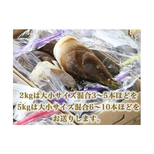ふるさと納税 野菜類 山菜 富山県 射水市  射水市 射水のおいしい食品 射水市黒河産 農家直送 北川さん家の たけのこ 5kg 2026年4月中旬〜4月下旬頃に順次発送…の画像