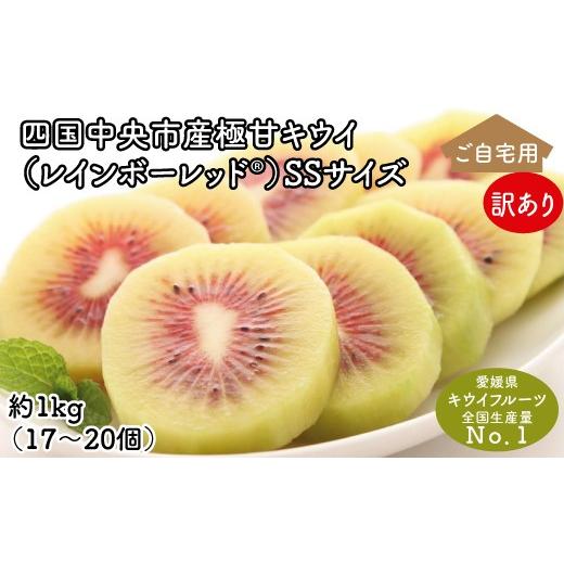 ふるさと納税 果物類 愛媛県 四国中央市 ぽぽ農園 訳あり・ご自宅用 レインボーレッドキウイ(四国中央市産レインボーレッド) SS サイズ 約1kg(17個〜20個…