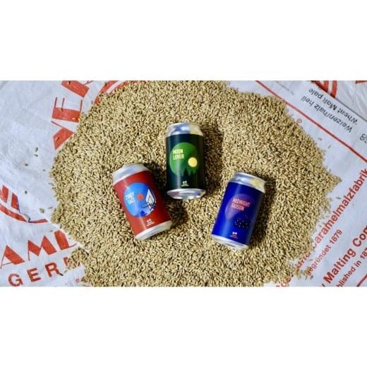 ふるさと納税 ビール 神奈川県 箱根町 International Beer Cup金賞受賞 『GORA BREWERY』 人気銘柄3種缶6本セット