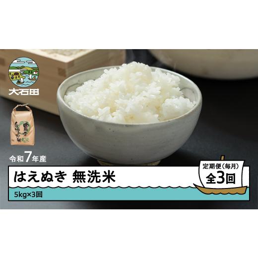 ふるさと納税 米 はえぬき 山形県 大石田町 米 令和7年産 はえぬき 無洗米 15kg 5kg×3回 毎月定期便 6月上旬・7月上旬・7月上旬発送 山形県産 東北 ap-hamxa1…