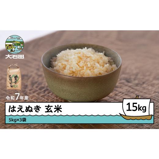 ふるさと納税 米 はえぬき 山形県 大石田町 米 令和7年産 はえぬき 玄米 15kg 5kg×3回 毎月定期便 6月上旬・7月上旬・8月上旬発送 山形県産 東北 ap-hagxa15-…