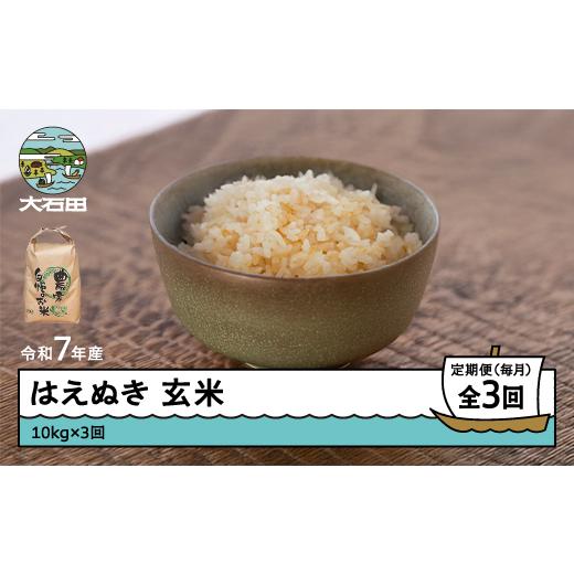ふるさと納税 米 はえぬき 山形県 大石田町 米 令和7年産 はえぬき 玄米 30kg 10kg×3回 毎月定期便 5月下旬・6月下旬・7月下旬発送 山形県産 東北 ap-hagxa10…の画像