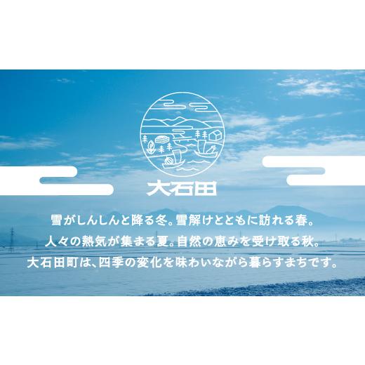 ふるさと納税 米 はえぬき 山形県 大石田町 米 令和7年産 はえぬき 玄米 30kg 10kg×3回 毎月定期便 5月下旬・6月下旬・7月下旬発送 山形県産 東北 ap-hagxa10…の画像