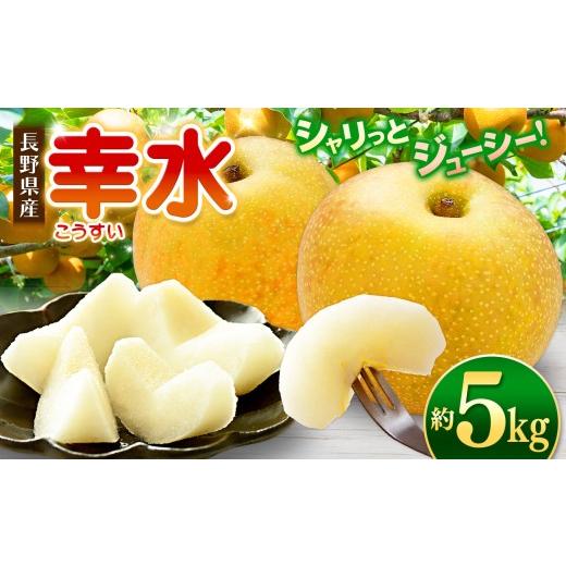 ふるさと納税 梨 長野県 松本市 先行受付:9月発送 幸水5kg 高原の「幸水」は硬さ、シャリ感、ジューシー、甘さが違う。海藻エキス投与で、コクと旨味のある…