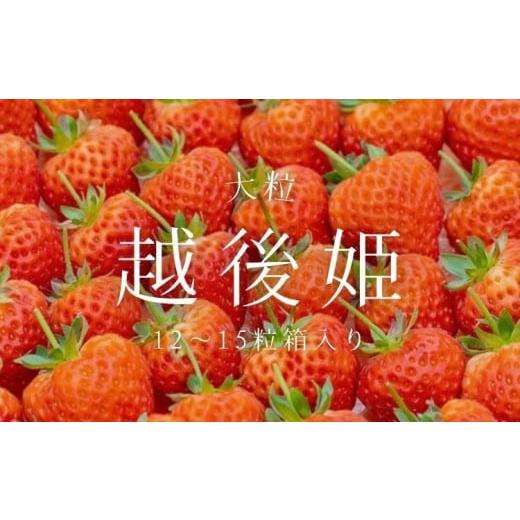 ふるさと納税 いちご 新潟県 村上市 数量限定 大粒いちご「越後姫」贈答用 12〜15粒 約450g 1081005