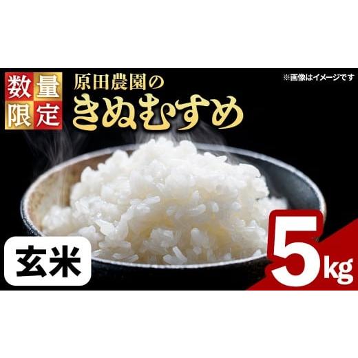 ふるさと納税 米 きぬむすめ 鳥取県 境港市 令和7年産・数量限定 原田農園の「きぬむすめ」(玄米・5kg) sm-EF002-B05 やまのおかげ屋 玄米 5kg