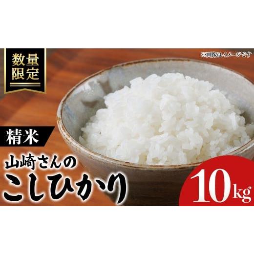 ふるさと納税 米 コシヒカリ 鳥取県 境港市 令和7年産・数量限定 山崎さんのこしひかり(精米・10kg) sm-EF003-A10 やまのおかげ屋 精米 10kg