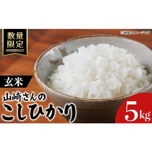 ふるさと納税 米 コシヒカリ 鳥取県 境港市 令和7年産・数量限定 山崎さんのこしひかり(玄米・5kg) sm-EF003-B05 やまのおかげ屋 玄米 5kg