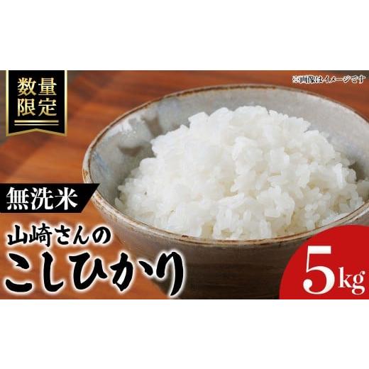 ふるさと納税 米 コシヒカリ 鳥取県 境港市 令和7年産・数量限定 山崎さんのこしひかり(無洗米・5kg) sm-EF003-C05 やまのおかげ屋 無洗米 5kg