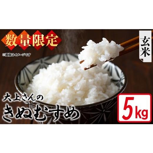 ふるさと納税 米 きぬむすめ 鳥取県 境港市 令和7年産・数量限定 大上さんのきぬむすめ(玄米・5kg) sm-EF004-B05 やまのおかげ屋 玄米 5kg