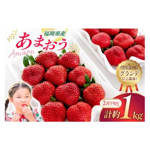 ふるさと納税 いちご 福岡県 宇美町 いちご あまおう 270g 4p 計約1kg 2月後半-3月後半発送 2027年発送 先行予約 hurrah. 福岡県 宇美町 um40bjm200000 イチゴ…