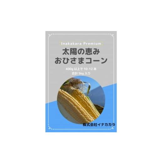 ふるさと納税 とうもろこし 山梨県 南部町 太陽の恵み おひさまコーン 濃厚半生食感 2L(400g以上)を10〜12本 1708602