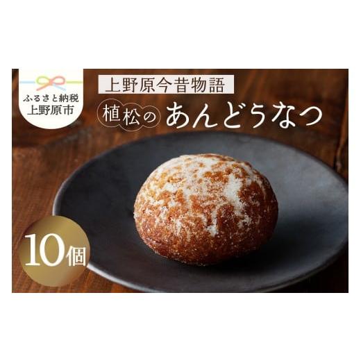 ふるさと納税 和菓子 山梨県 上野原市 人気 和菓子 名菓 あんどうなつ(10個 ) 和菓子 ドーナツ ドーナッツ お菓子 スイーツ あんこ 山梨県産 名菓 あんドー…