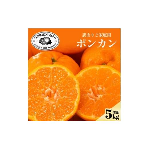 ふるさと納税 みかん・柑橘類 愛媛県 八幡浜市 数量限定 今シーズン発送 訳あり ポンカン 5kg 愛媛県産 C70-167 1711269