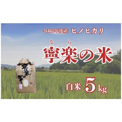 ふるさと納税 米 ヒノヒカリ 奈良県 奈良市 令和7年度 ヒノヒカリ 5kg 白米 お米 寧楽の米 ひのひかり 数量限定 米 ご飯 ごはん 米 おにぎり 国産 農家直送 と…