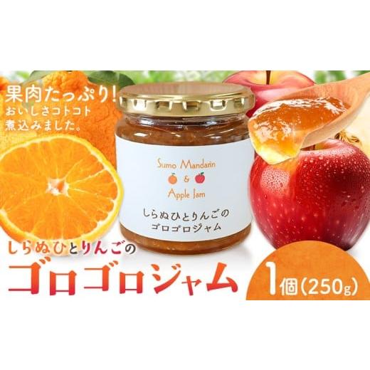 ふるさと納税 ジャム 徳島県 美馬市 ジャム フルーツ 不知火 りんご しらぬひとりんごのゴロゴロジャム 1個 (1個250g) 有限会社美馬交流館[30日以内に出荷予…