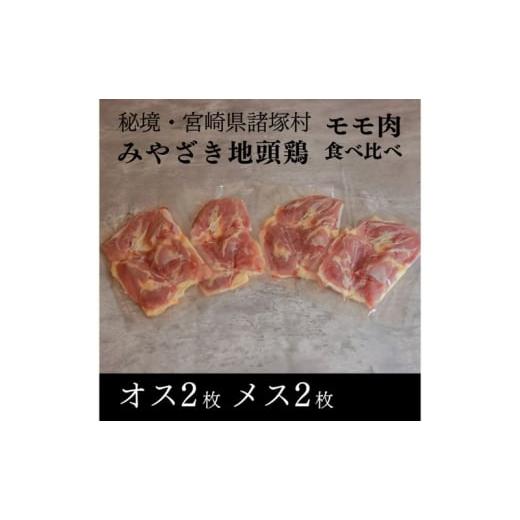 ふるさと納税 鶏肉 モモ 宮崎県 諸塚村   みやざき地頭鶏 オスメス食べ比べモモ肉セット 鶏肉 地鶏 赤身 宮崎県 諸塚村