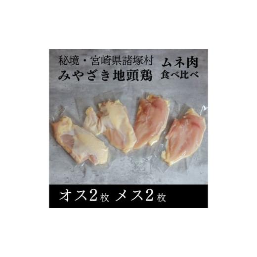 ふるさと納税 鶏肉 ムネ 宮崎県 諸塚村   みやざき地頭鶏 オスメス食べ比べムネ肉セット 鶏肉 地鶏 胸肉 宮崎県 諸塚村