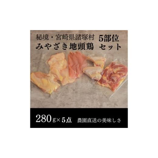 ふるさと納税 鶏肉 セット 宮崎県 諸塚村   みやざき地頭鶏 5部位食べ比べセット 鶏肉 地鶏 モモ ムネ ササミ 皮 大手羽 各280g 宮崎県 諸塚村
