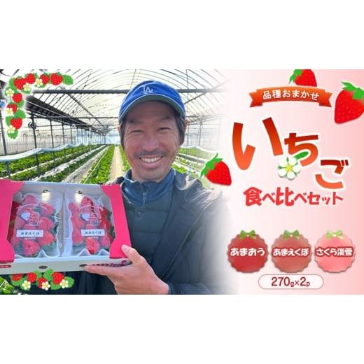 ふるさと納税 いちご 福岡県 小郡市 いちご 1箱 (270g×2パック) あまおう あまえくぼ さくら淡雪 (いちご食べ比べセット) 品種はおまかせ