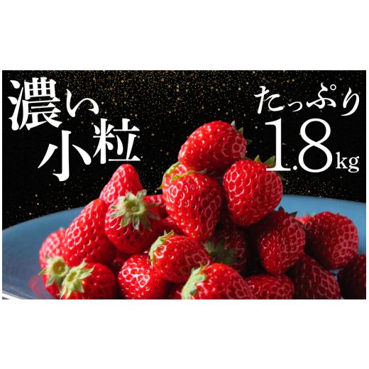 ふるさと納税 いちご 静岡県 南伊豆町 2〜5月発送 いちご 小粒いちご 約1.8kg 紅ほっぺ こだわり いちご 大容量 イチゴ strawberry 苺 新鮮 朝摘み 朝採り 産…