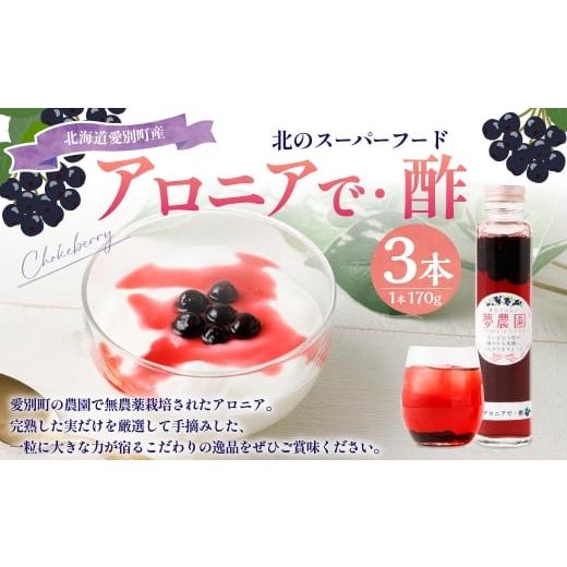 ふるさと納税 たれ・ドレッシング・酢 果実酢 北海道 愛別町 アロニアで・酢 170g×3本 計510g 国産 飲む お酢 アロニア 希釈