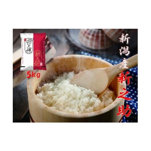 ふるさと納税 米 新潟県 阿賀野市 令和7年産 阿賀野市産「新之助」5kg(5kg×1袋) 安田興和農事 白米 精米 生産者直送 1W10016