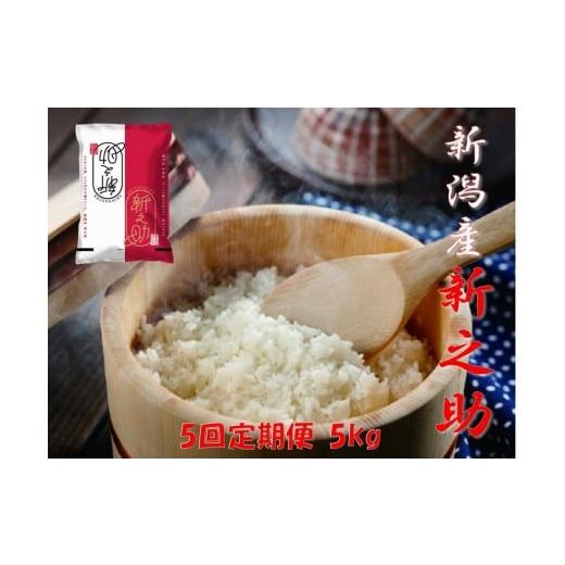 ふるさと納税 米 新潟県 阿賀野市 令和7年産 5回定期便 阿賀野市産「新之助」5kg(5kg×1袋) 安田興和農事 白米 精米 1W11076