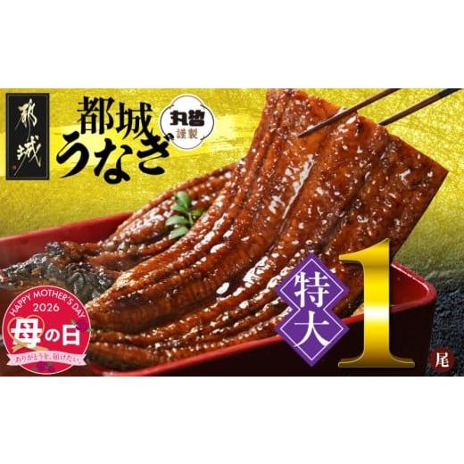 ふるさと納税 うなぎ 宮崎県 都城市 母の日 宮崎県育ちの 特大 うなぎ蒲焼1尾210g以上 山椒・たれ付 5月7日〜10日お届け _11-M301-MG_(都城市) 特大うなぎ蒲…