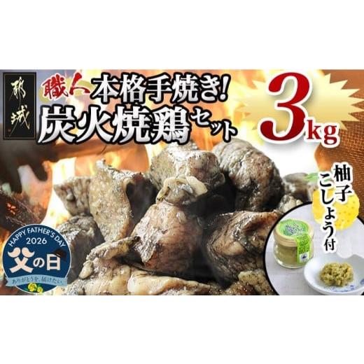 ふるさと納税 鶏肉 焼き鳥 宮崎県 都城市 父の日 本格手焼き 炭火焼鶏3kg(ゆずこしょう付) 6月18日〜21日お届け _MJ-1417-FG_(都城市) リピーター続出 鶏肉 …