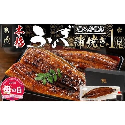 ふるさと納税 うなぎ 宮崎県 都城市 母の日 職人手焼きの本格うなぎ蒲焼き1尾 5月7日〜10日お届け _LG8-33-003-1-MG_(都城市) 鰻蒲焼 1尾 (総重量150g以上) …