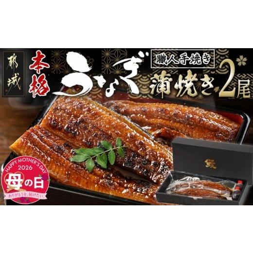 ふるさと納税 うなぎ 宮崎県 都城市 母の日 職人手焼きの本格うなぎ蒲焼き2尾 5月7日〜10日お届け _MJ-3305-MG_(都城市) 国産 本格 うなぎ 鰻 蒲焼 宮崎 じっ…