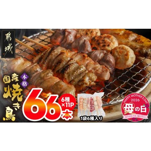 ふるさと納税 鶏肉 焼き鳥 宮崎県 都城市 母の日 職人串打ちの本格焼き鳥66本 5月7日〜10日お届け _MJ-3312-MG_(都城市) 焼鳥串 生冷凍串 冷凍生肉 もも 皮 …