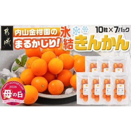 ふるさと納税 みかん・柑橘類 宮崎県 都城市 母の日 内山金柑園のまるかじり氷結きんかん7パック 5月7日〜10日お届け _AO-J703-MG_(都城市) 内山金柑園 完熟…