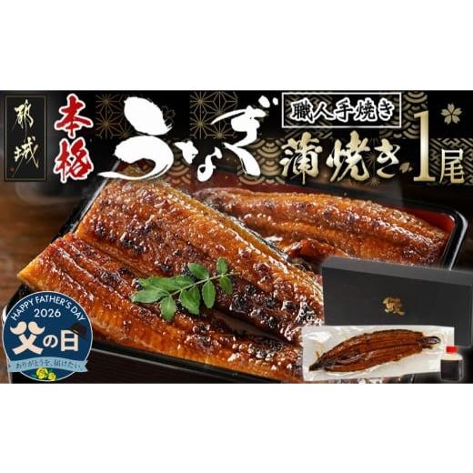 ふるさと納税 うなぎ 宮崎県 都城市 父の日 職人手焼きの本格うなぎ蒲焼き1尾 6月18日〜21日お届け _LG8-33-003-1-FG_(都城市) 鰻蒲焼 1尾 (総重量150g以上) …