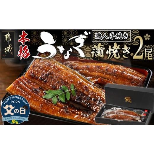 ふるさと納税 うなぎ 宮崎県 都城市 父の日 職人手焼きの本格うなぎ蒲焼き2尾 6月18日〜21日お届け _MJ-3305-FG_(都城市) 国産 本格 うなぎ 鰻 蒲焼 宮崎 じ…