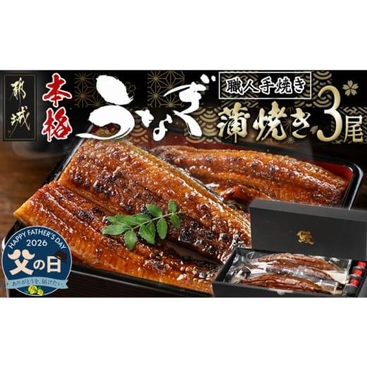 ふるさと納税 うなぎ 宮崎県 都城市 父の日 職人手焼きの本格うなぎ蒲焼き3尾 6月18日〜21日お届け _AC-3301-FG_(都城市) 鰻蒲焼 3尾 (総重量450g以上) タレ…