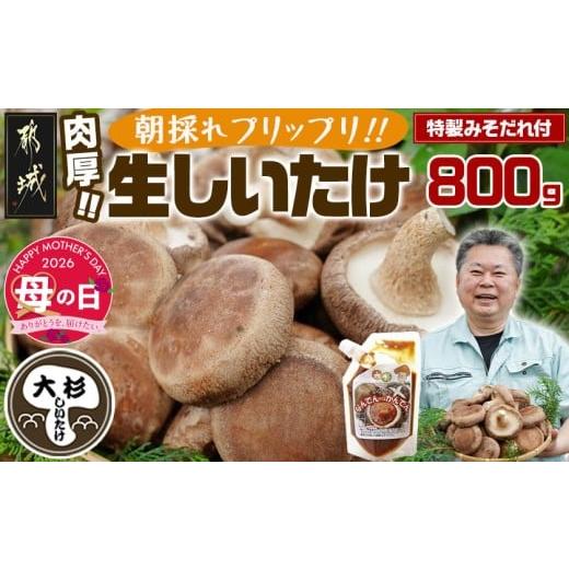 ふるさと納税 野菜類 きのこ 宮崎県 都城市 母の日 朝採れ肉厚生しいたけと特製みそだれ 5月7日〜10日お届け _AA-8701-MG_(都城市) 特製みそだれ付き 朝採れ…